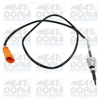 Sensor, exhaust gas temperature